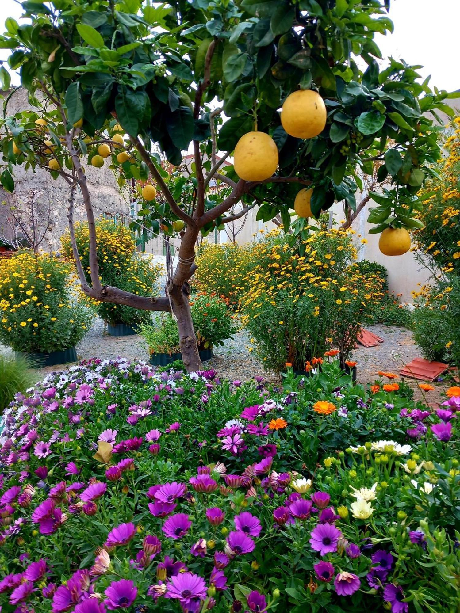 4 Seasons Suites Paradise Near Athens Airport 2 Markopoulo Mesogaias Bagian luar foto